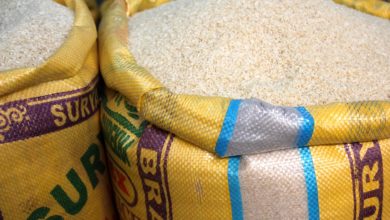 Plastová rýže z Asie se blíží. Podívejte se, jak ji rozpoznat.